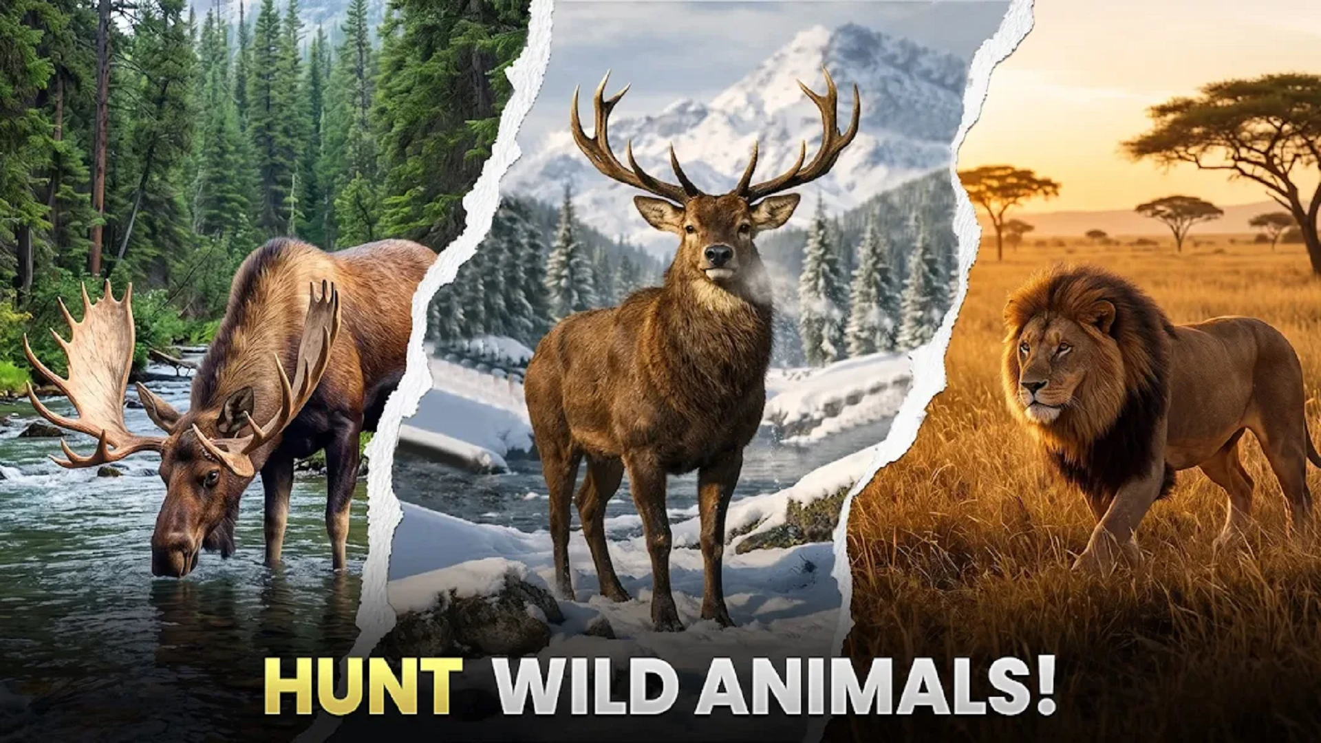 Animal Hunting Sniper PvP Game screenshot